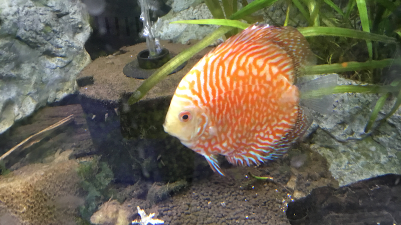 A&R Aquariums - Photo 2