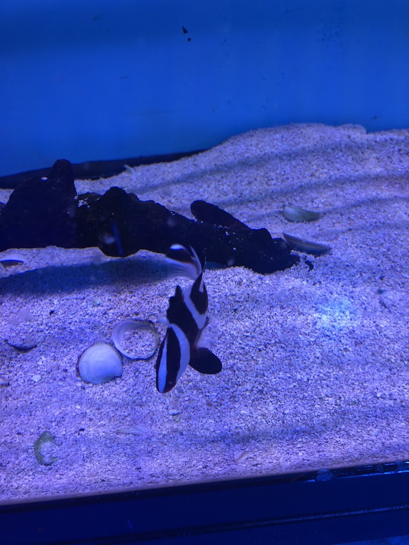 A&R Aquariums - Photo 4