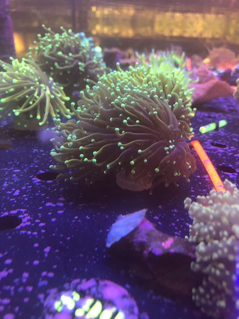 A&R Aquariums - Photo 5