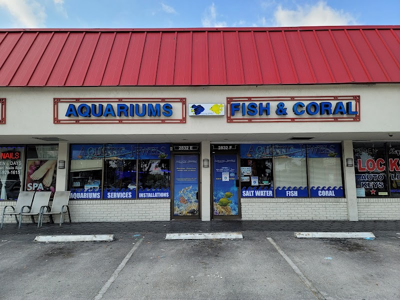 Aquatic Jewels - Photo 1