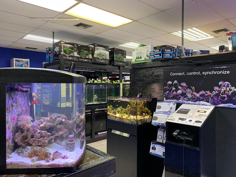 Aquarium Kingdom III - Photo 3