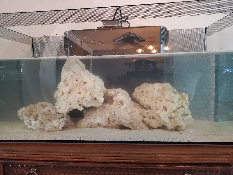 Aquarium Kingdom III - Photo 4