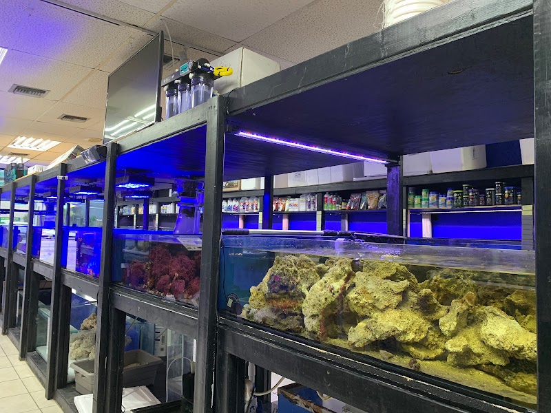 Aquarium Kingdom III - Photo 5