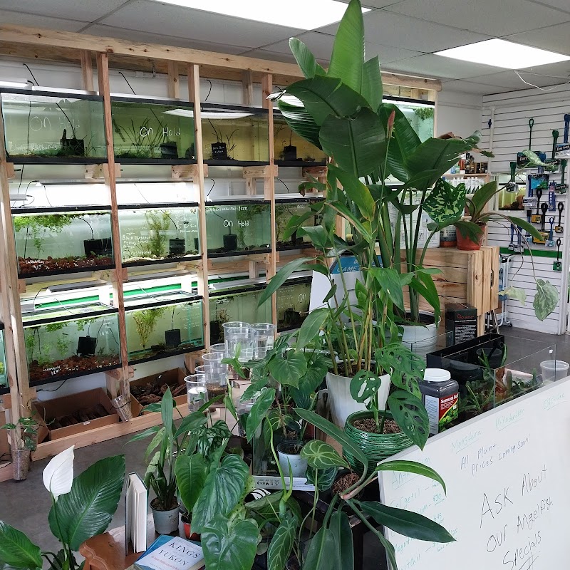 Arium Fauna & Flora - Aquarium & Reptile Store - Photo 1