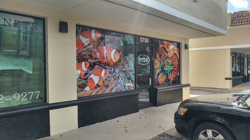 Blue Seas Aquariums - Photo 4