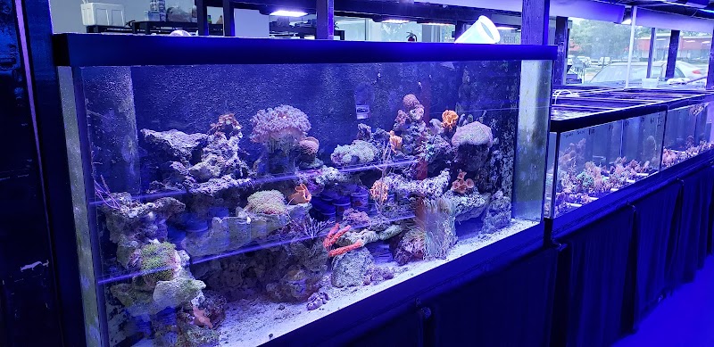Living Reef Aquariums - Photo 2