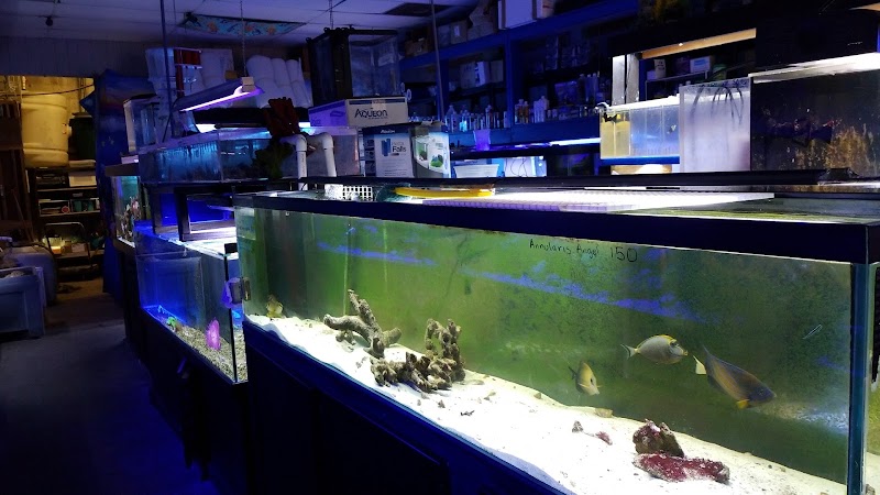 Living Reef Aquariums - Photo 5