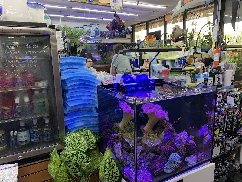 Aquatropics - Photo 2