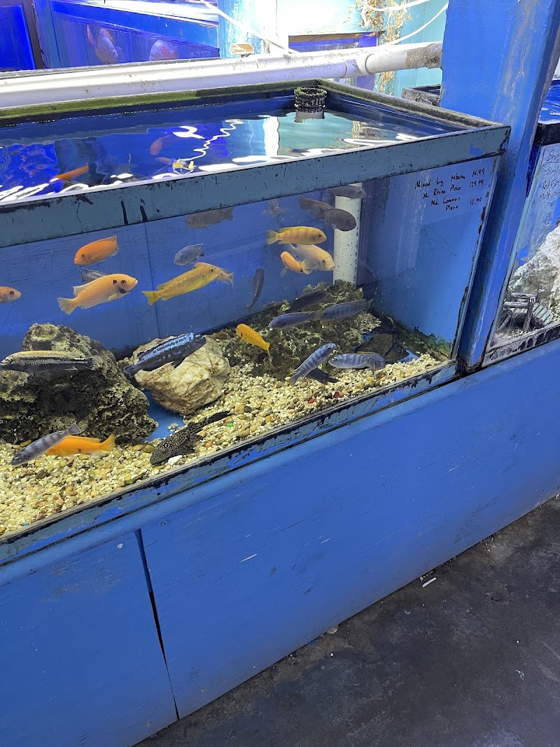 Aquatropics - Photo 3