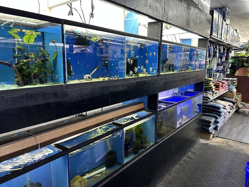 Aquatropics - Photo 4