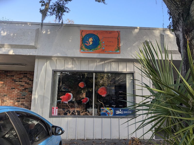 Heeeere Fishy Fishy - Photo 1