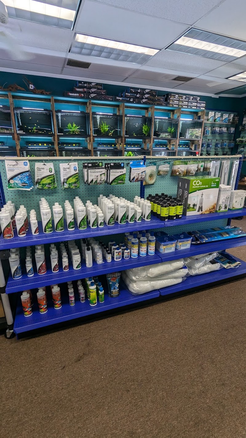 Heeeere Fishy Fishy - Photo 2