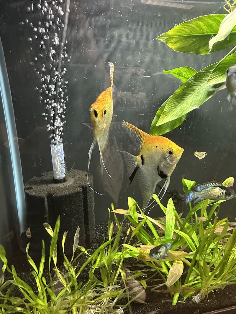 Heeeere Fishy Fishy - Photo 3