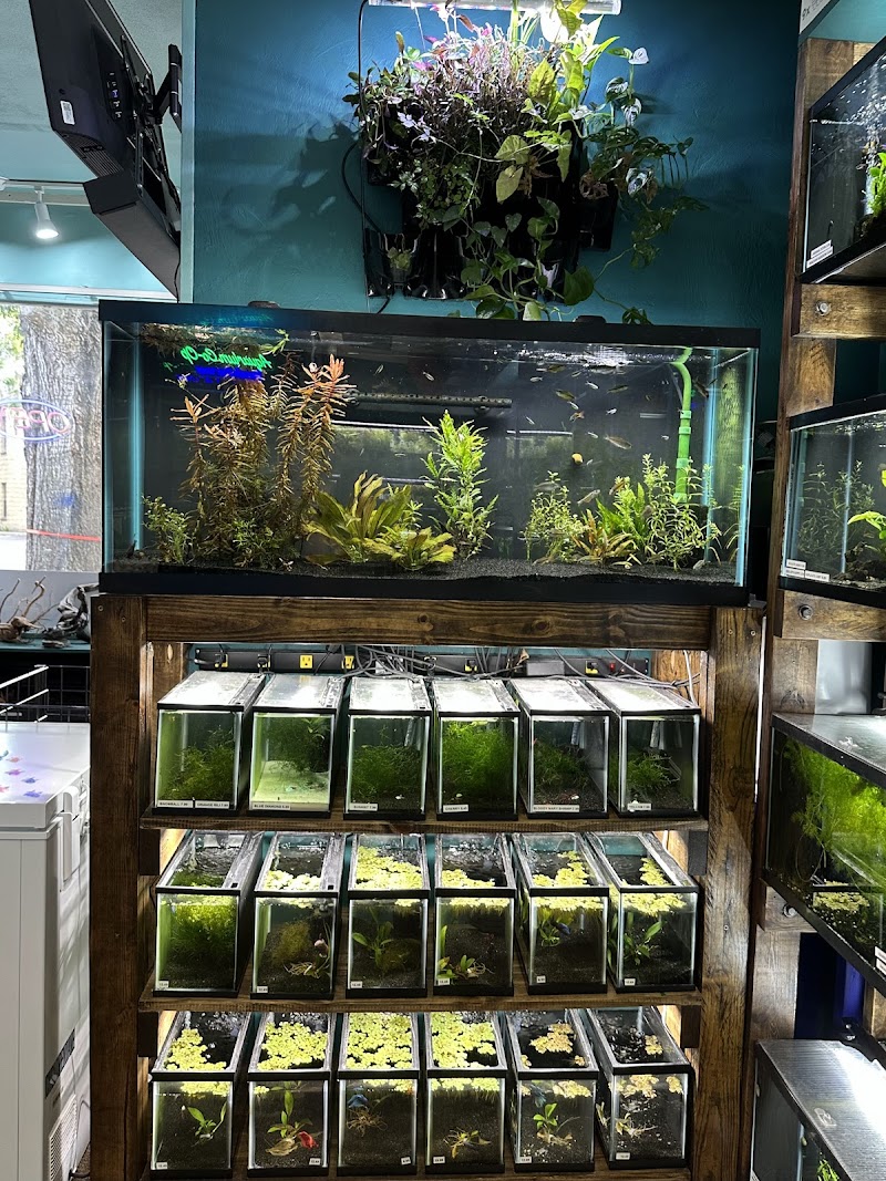 Heeeere Fishy Fishy - Photo 5