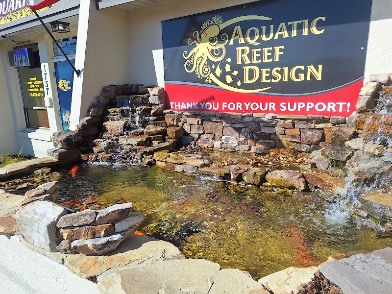 Aquatic Reef Design - Photo 1