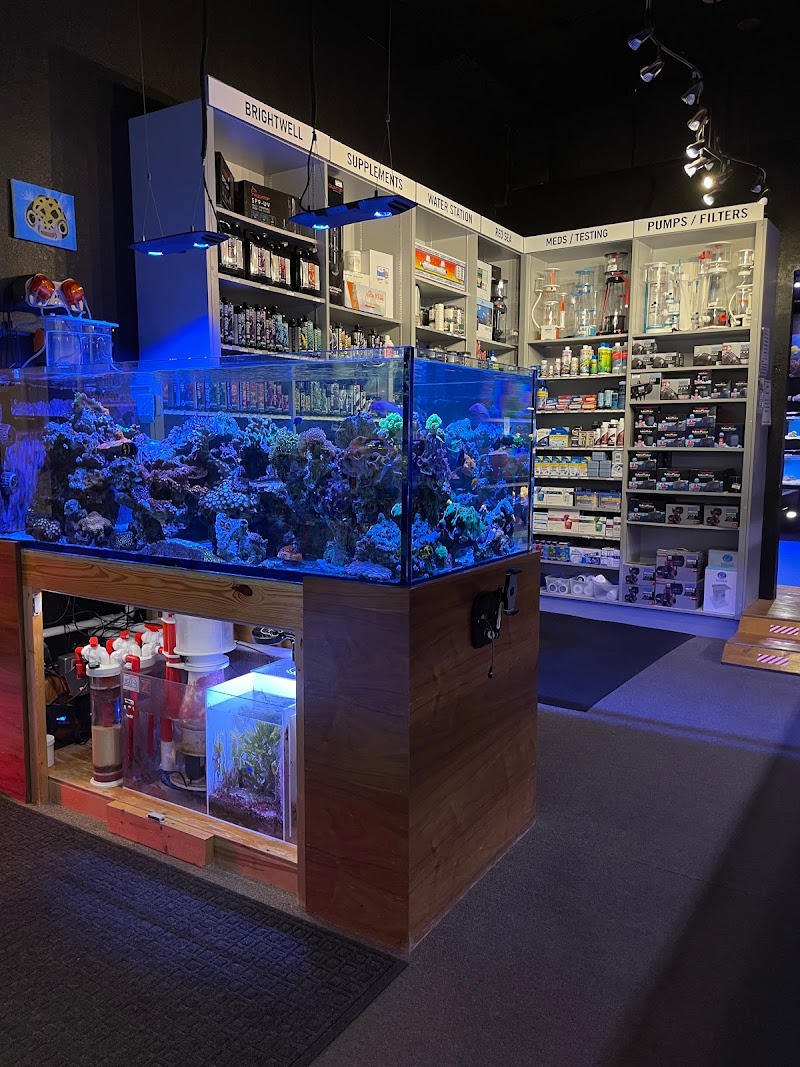 Aquatic Reef Design - Photo 2