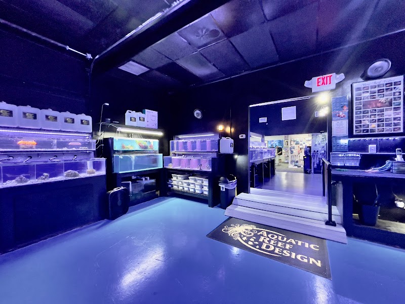 Aquatic Reef Design - Photo 4