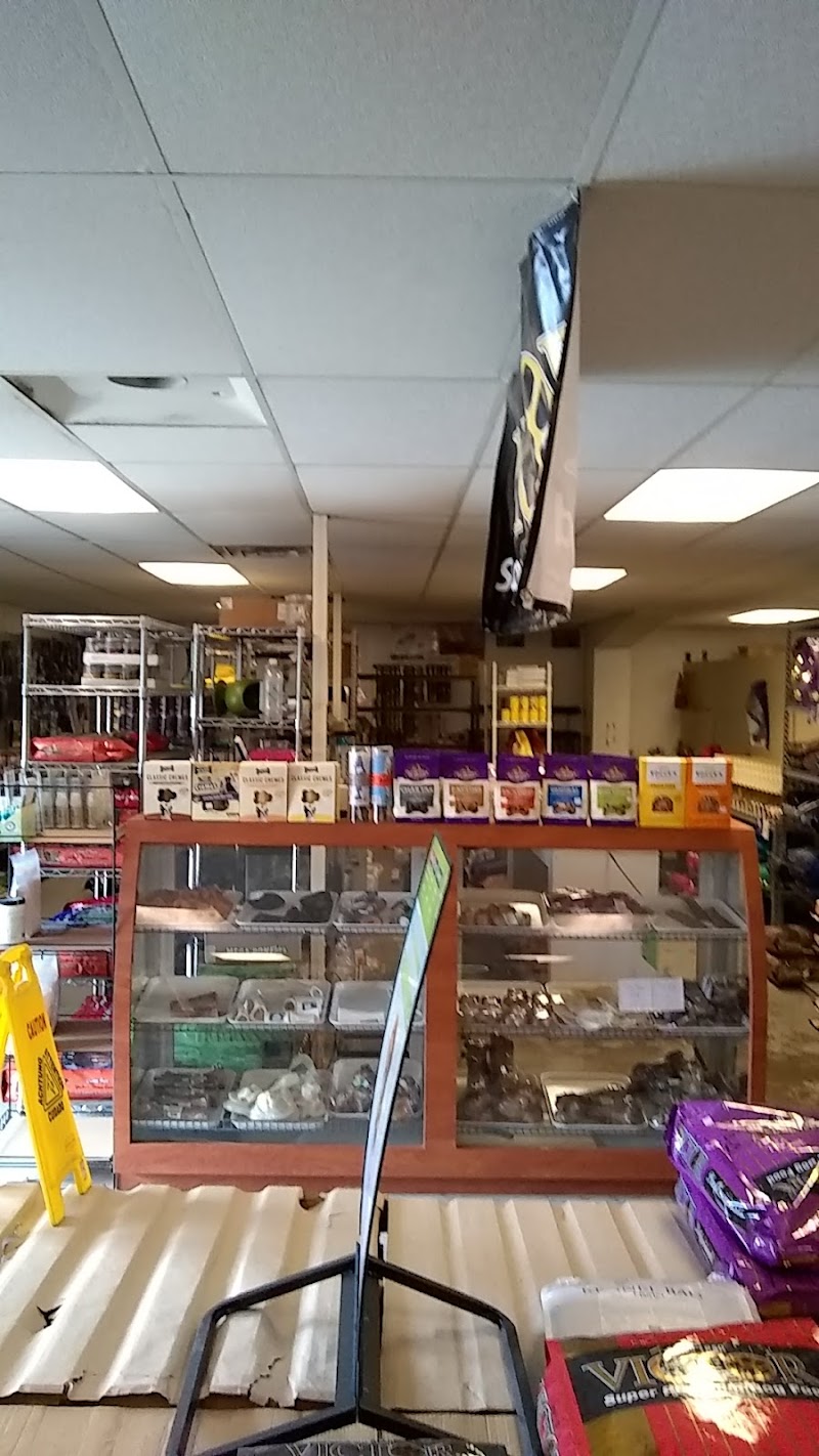 Barney's Pet World - Photo 2