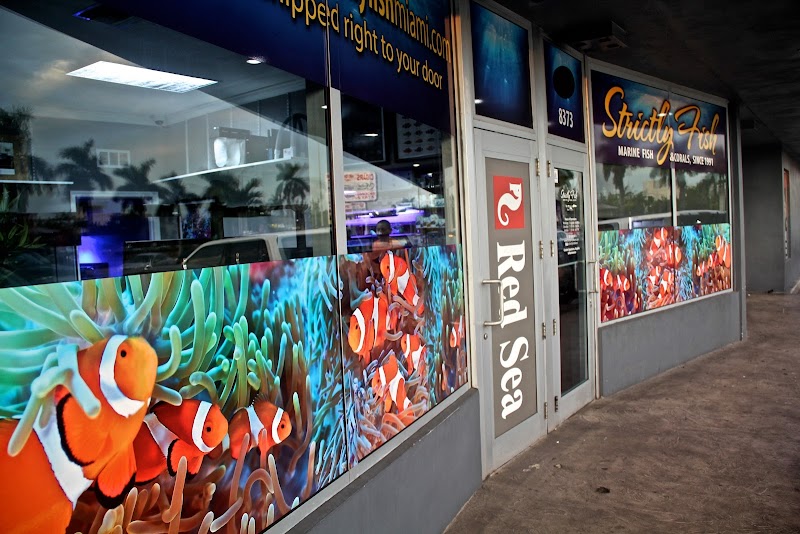 Strictly Fish & Corals - Photo 1