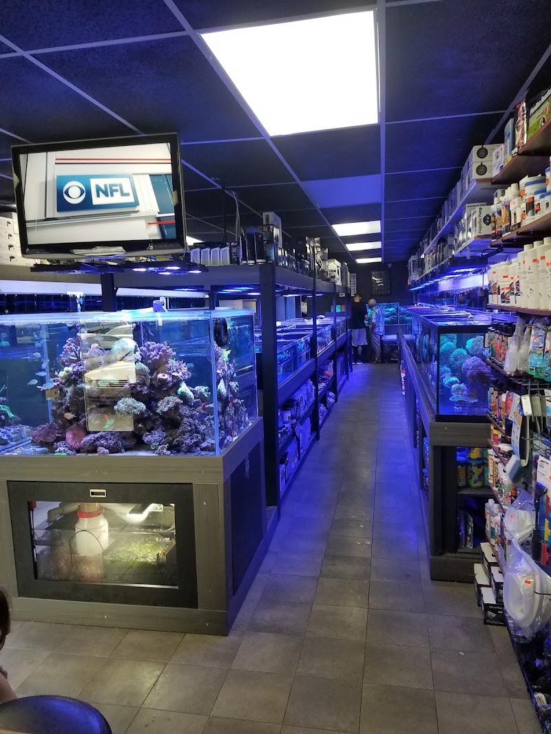 Strictly Fish & Corals - Photo 5