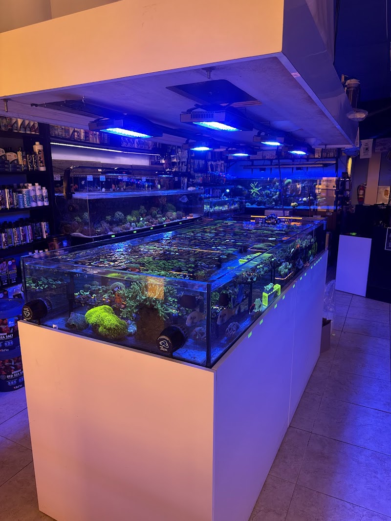 Frank Aquariums - Photo 2