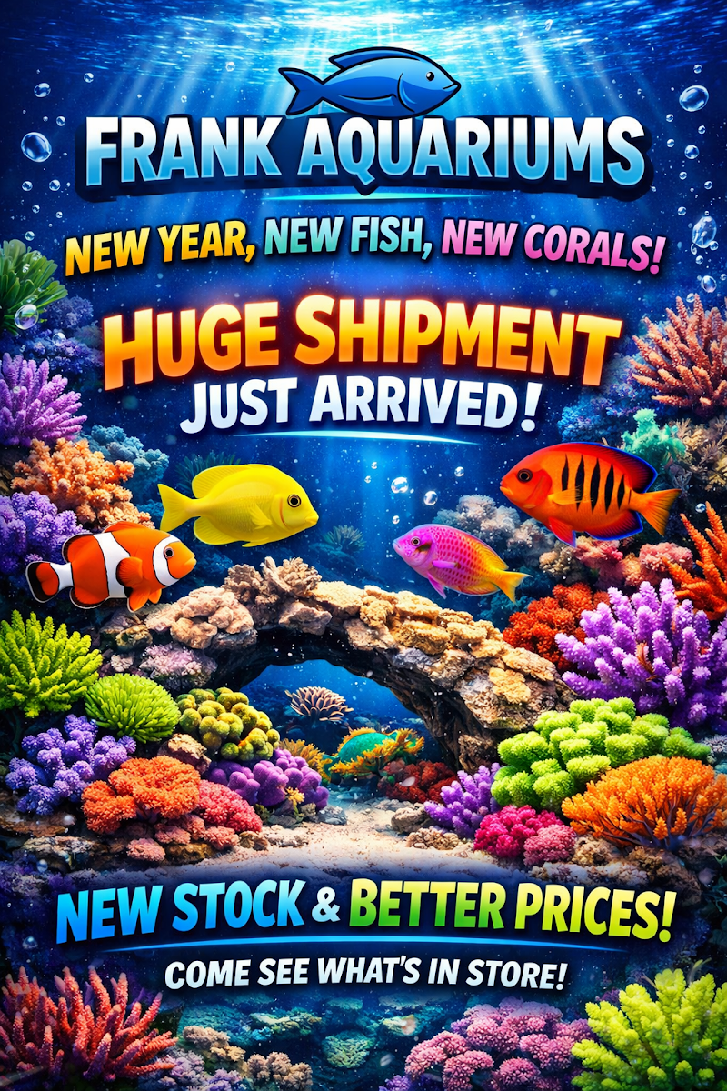 Frank Aquariums - Photo 3