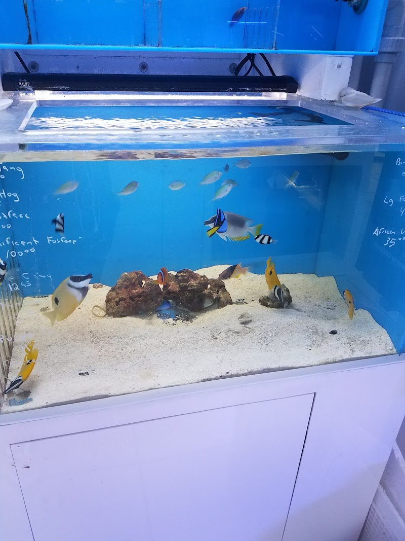 Aquarama Inc. - Photo 4