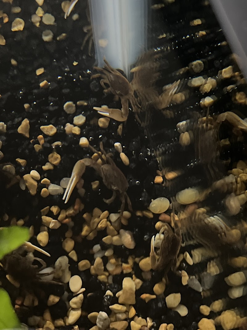 Aquarama Inc. - Photo 5