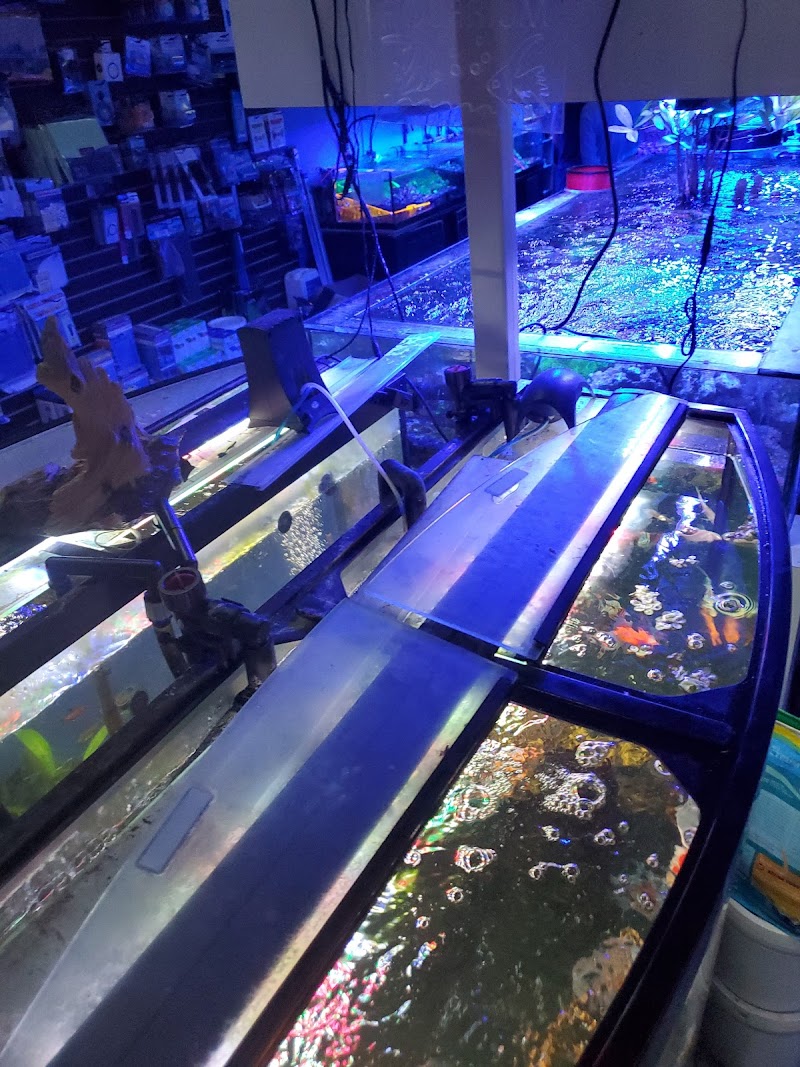 Neptunes Aquarium Store - Photo 3