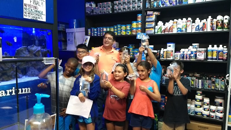 Dream Aquarium 1 - Photo 2