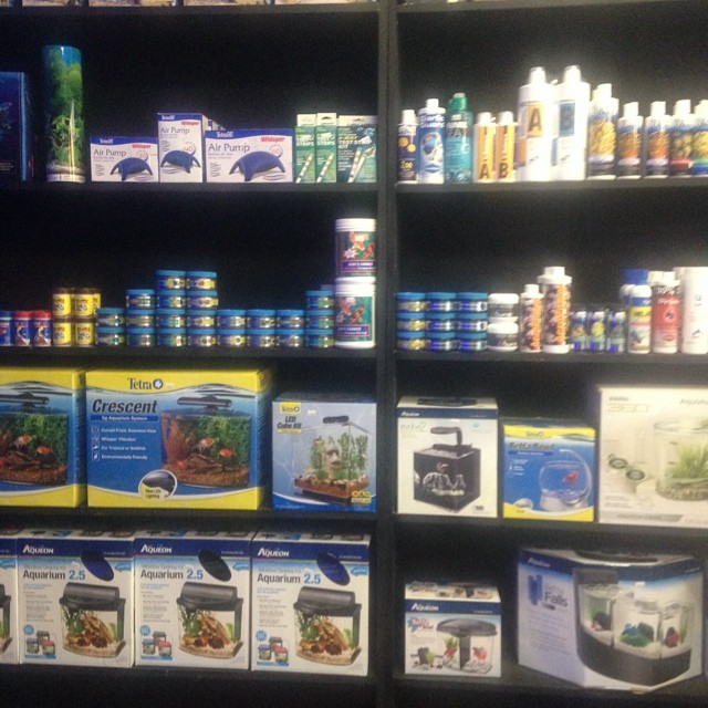 Dream Aquarium 1 - Photo 5