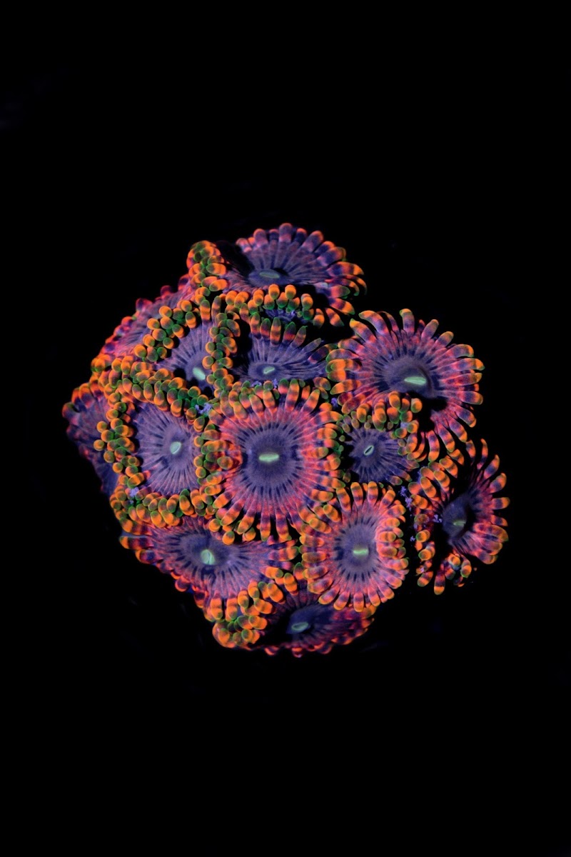 Hydros Aquatics - Photo 3