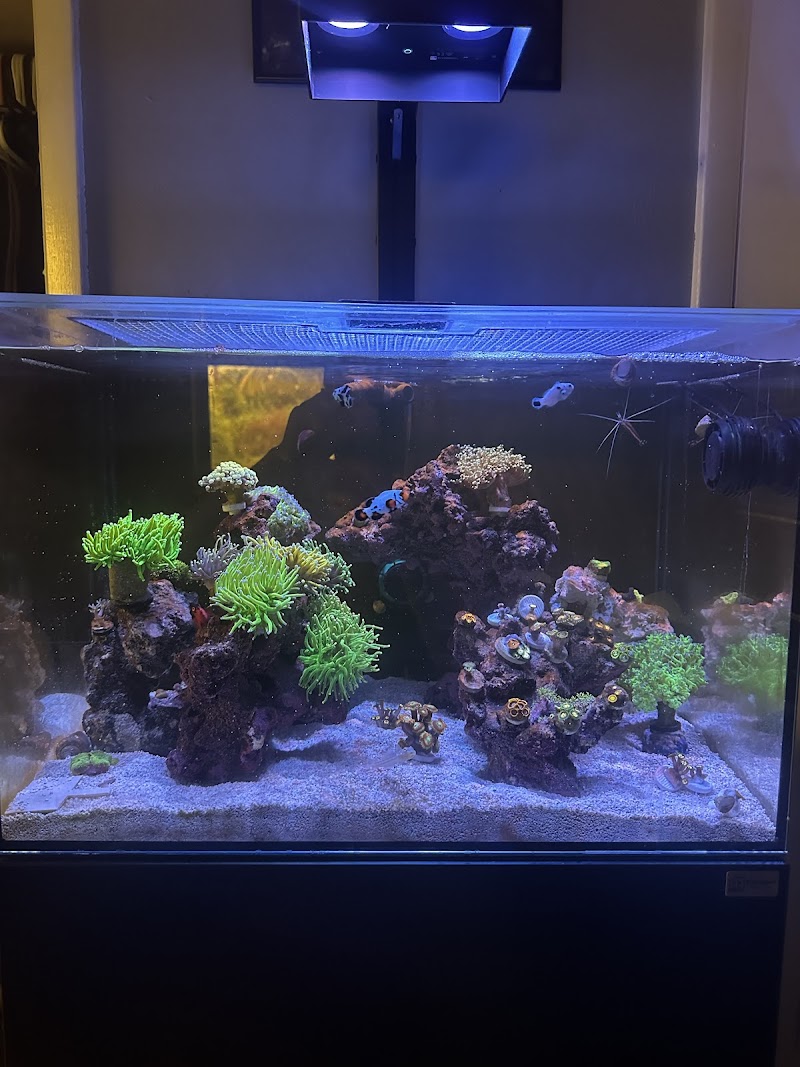 Hydros Aquatics - Photo 5