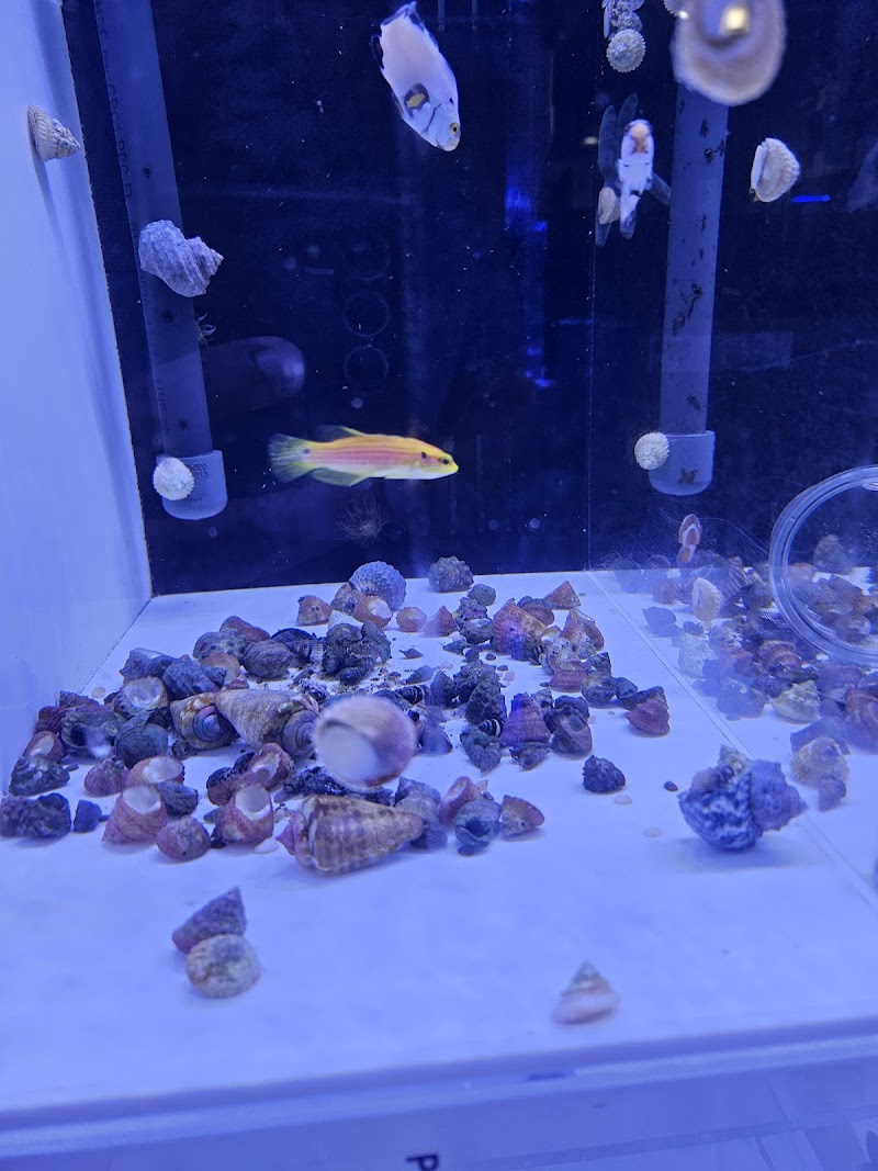 Ocean View Aquariums - Photo 4