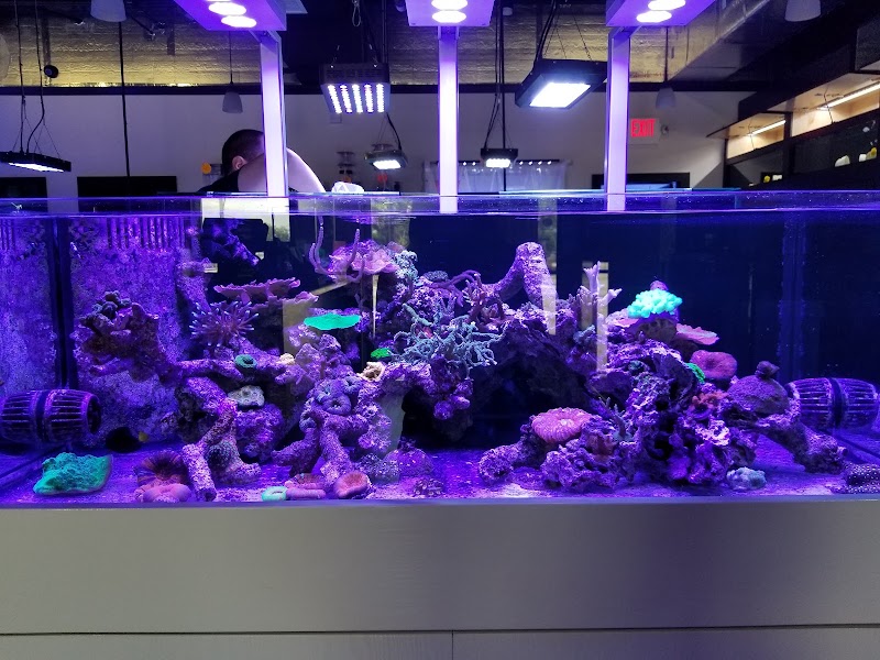 Ocean View Aquariums - Photo 5