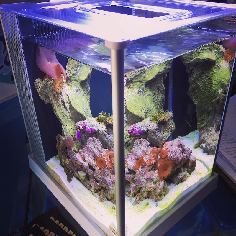 Aquarium Depot - Photo 4