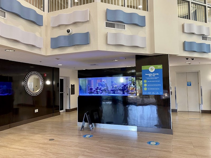 Aquarium Marketing - Photo 1