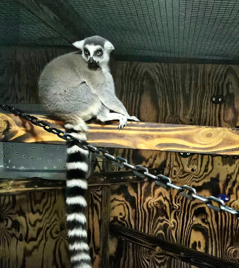 Panhandle Exotics - Photo 3