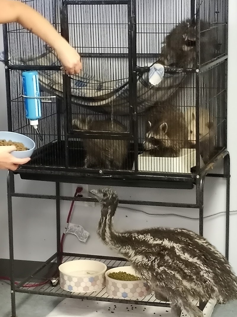 Panhandle Exotics - Photo 4