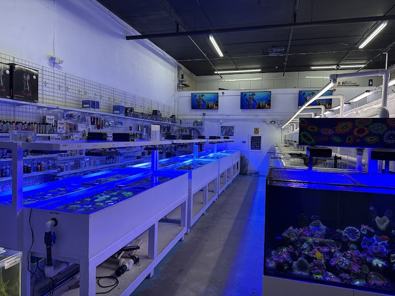 VIP Reef Aquarium - Photo 3