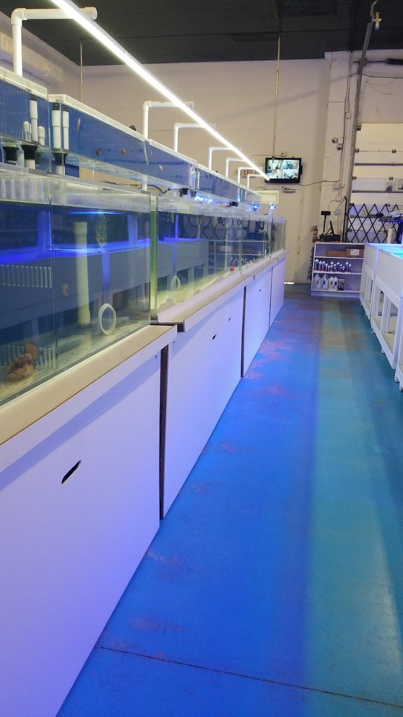VIP Reef Aquarium - Photo 4