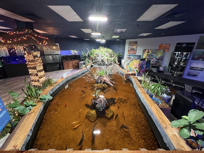 Floating Sea Aquatics - Photo 3