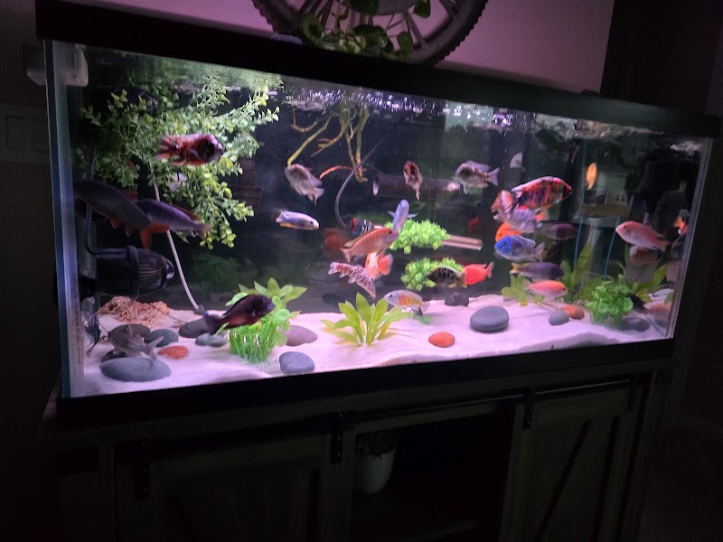 Natural Environment Aquatix - Photo 2