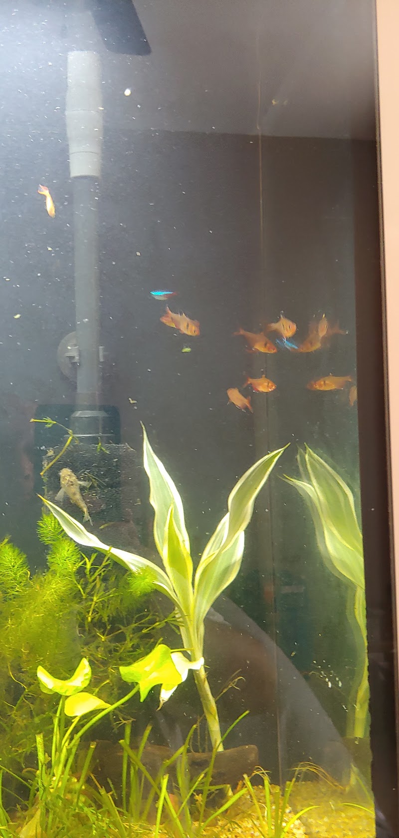 Natural Environment Aquatix - Photo 3