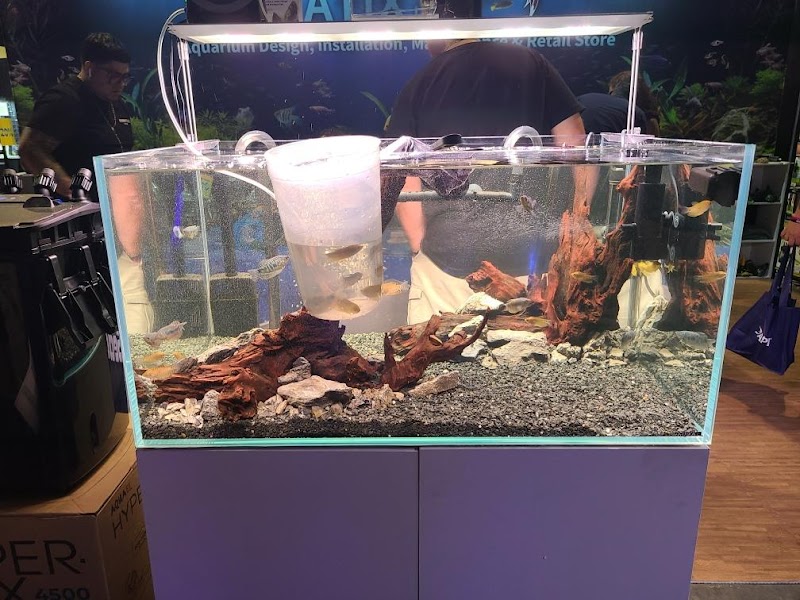 Natural Environment Aquatix - Photo 5