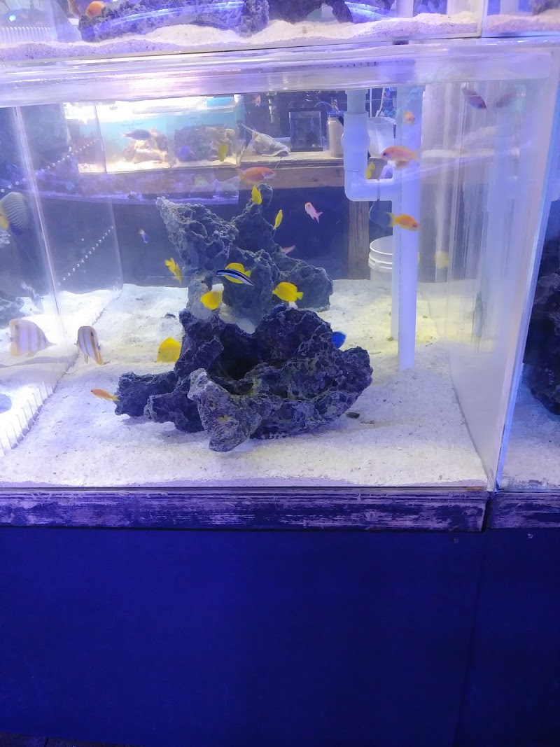 Bio-Reef LLC - Photo 2