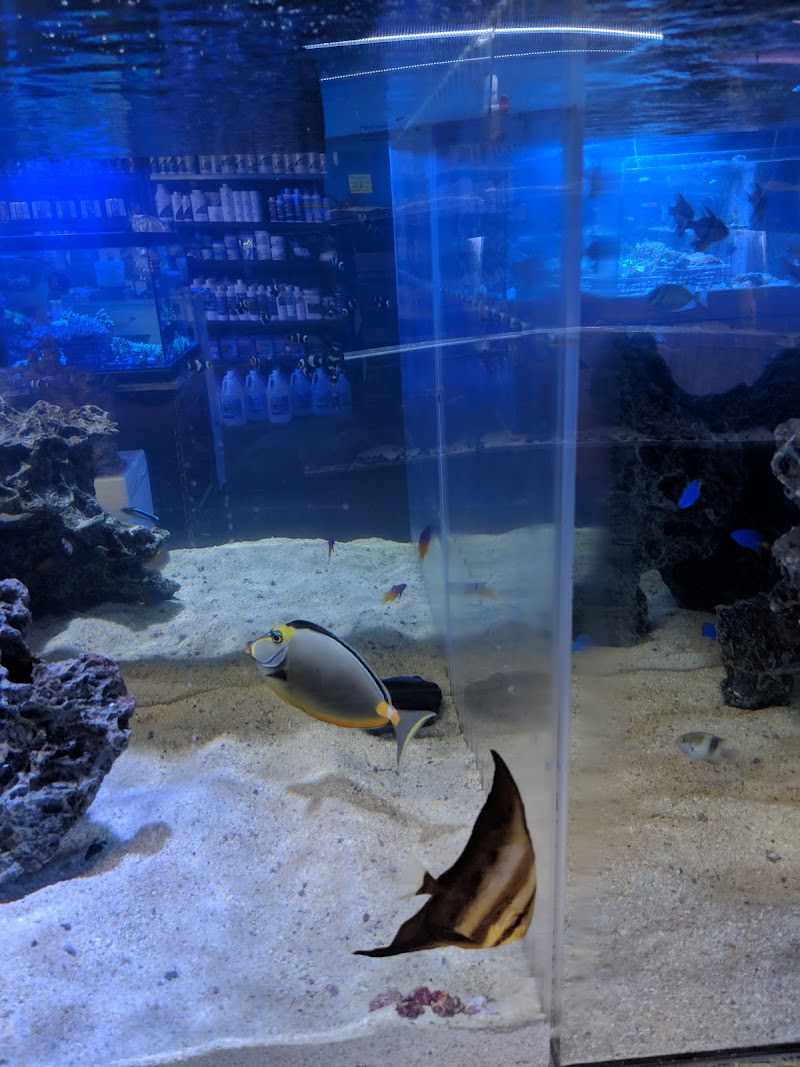 Bio-Reef LLC - Photo 3