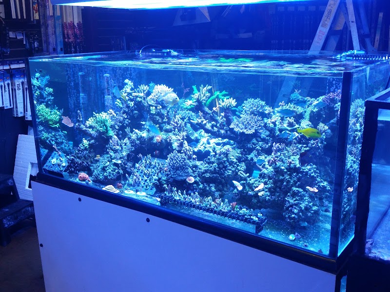 Bio-Reef LLC - Photo 4