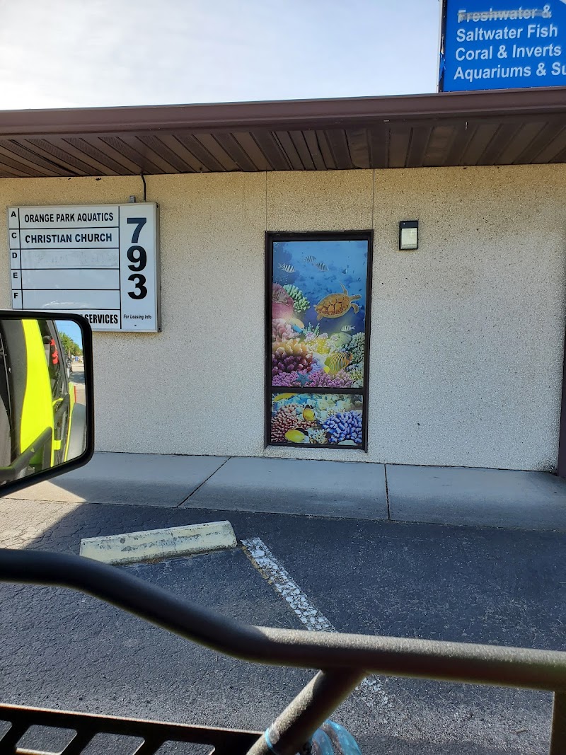 Orange Park Aquatics - Photo 1