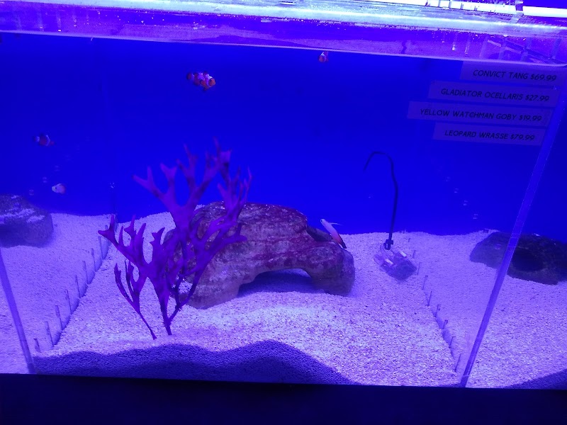 Orange Park Aquatics - Photo 3